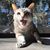 Michelle Gaulke Blackwood's profile image