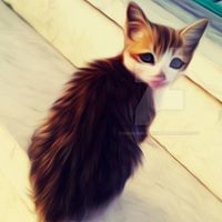 Ciro Parisi's profile image