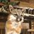 Lou Yerger's profile image