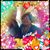 Angela Bowiestillos Rodriguez's profile image