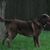 Linda Mcclain's profile image