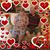 Andrea Evers Kane's profile image