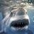 Kev Sullivan's profile image