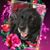 Jill Kacoullas's profile image