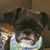 Deborah Simonds-Schies's profile image