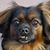 Jack Rogalski's profile image