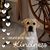 Joanie Brandt's profile image