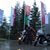 Alaa Al Sharif's profile image