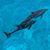 Lynne Haines's profile image