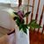 Beth Royer Gainer's profile image