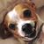 Mimi Trott's profile image