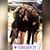 Mayte Dominguez's profile image