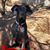 Brenda Greenberg's profile image