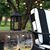 Gail Starr Stoudt's profile image