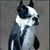 Lisa Sawyer's profile image