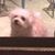 Beth Bjerre Rich's profile image