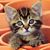 Marty Bishop's profile image