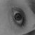 Susana Soliz's profile image