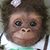 David Kuechenm's profile image
