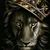Michael J. Parisi's profile image