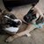 Bryanna Renninger's profile image