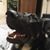 Gary Simonds's profile image