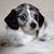 Jeri Allen Steidinger's profile image