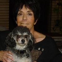 Michele Pillon's profile image