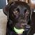 Rikki Wellman's profile image