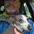 Mike Taylor's profile image