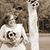 Stefany Hines Barnett's profile image