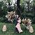 Neena Hudzina's profile image