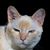 John Black's profile image