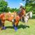 Paula Hite's profile image