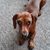 Tiffany Masias's profile image