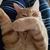 Anna Cambell's profile image