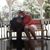 Tammy Wilson Myers's profile image