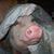 Amy Otto's profile image