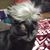 Sam James's profile image