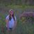 Tracy Ream Carver's profile image