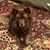 MT Fajardo's profile image