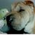 Phillip Johnson's profile image
