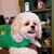 Holly Crockett's profile image
