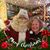 Margie Adair Cooper's profile image