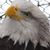 James Phillips's profile image