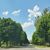 Linda Fraser- Robbins's profile image