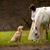 Una Whitcombe's profile image