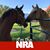 Michele Sparks's profile image