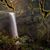 Judy Heitzman's profile image