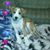 Kathy Cook's profile image